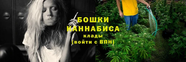 стафф Тихвин
