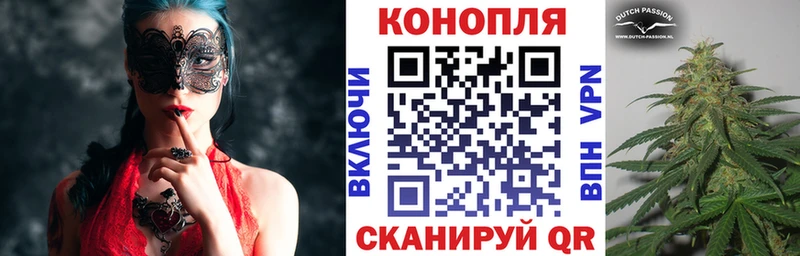 наркотики  Подпорожье  Каннабис VHQ 